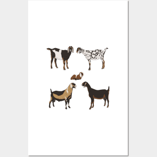 Nubian Goats Pattern Transparent Posters and Art